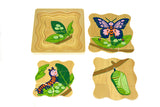 Lifecycle Puzzle - Butterfly