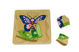 Lifecycle Puzzle - Butterfly